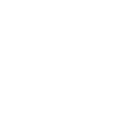 12months-int-free-white